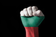 Fist painted in colors of bulgaria flag Fist painted in colors of bulgaria flag