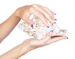 hands with shell hands with shell
