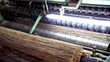 cane processing machine