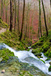 Wasserfall an der Falkensteiner Höhle