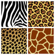 Vector: set of animal fur textures set of animal fur textures