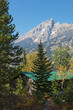 Grand Teton, idyllic house in the woods