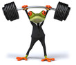 Grenouille forte