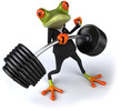 Grenouille Forte