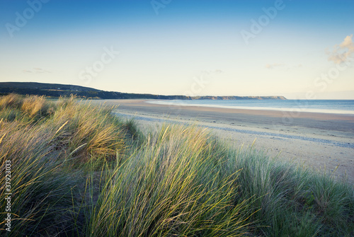 Foto: grass on sandy beach, pembrokeshire, wales grass on sandy beach, pembrokeshire, wales