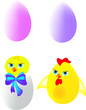 Chicks and eggs, vector Chicks and eggs, vector