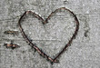 Herzsymbol in Buchenrinde