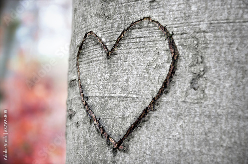 Photo: Liebeszeichen im Herbst Liebeszeichen im Herbst