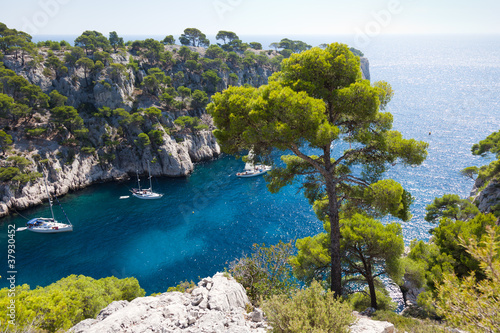 Foto: Calanques of Port Pin in Cassis Calanques of Port Pin in Cassis