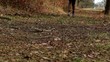 Jogger auf einem Waldweg