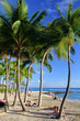 Foto: Stock image of Waikiki Beach, Honolulu, Oahu, Hawaii.. Stock image of Waikiki Beach, Honolulu, Oahu, Hawaii..
