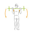 Vektor: Fitness: Arme Fitness: Arme
