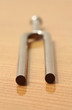 Tuning fork