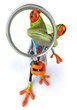 Grenouille docteur