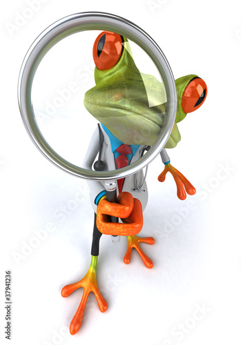 Illustration: Grenouille docteur Grenouille docteur