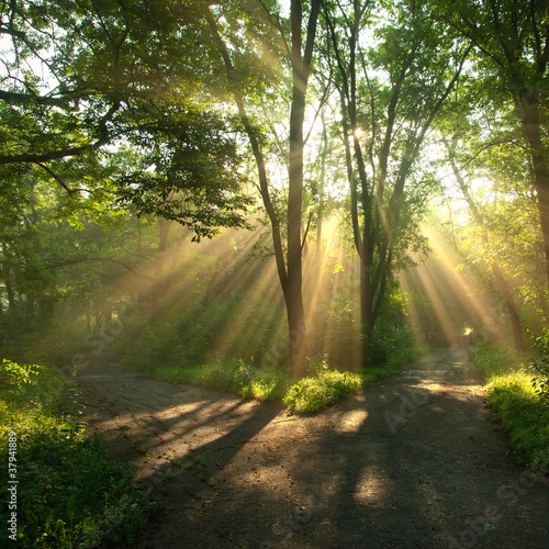 Photo: Sunlight Sunlight