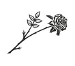 Trauer Rose 1