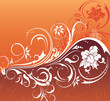vector background vector background