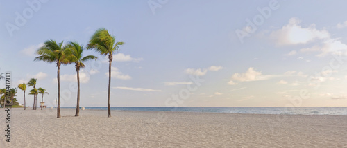 Photo: Panorama of Sunrise in Miami Beach Florida with palm trees Panorama of Sunrise in Miami Beach Florida with palm trees