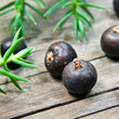 Wacholderbeeren