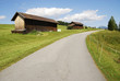 Alpine road