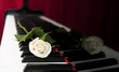 Rose on piano