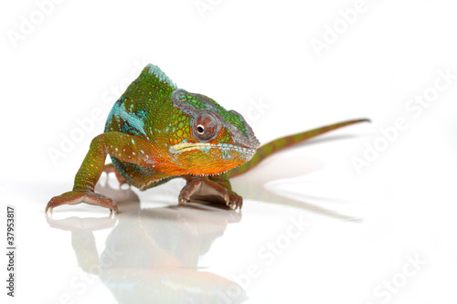 Photo: Angriff Angriff