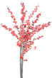 Christmas branch with red berries isolated on white