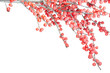 Christmas branch with red berries isolated on white
