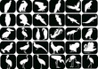 set of white birds isolated on black
