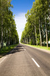 The asphalted road