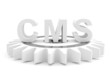 CMS : content management system concept. 3D model