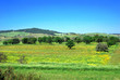 campagna sarda in una giornata di sole