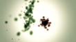 Science. Cell war
