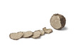 Black winter truffle