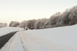 Forest Road