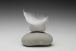 Plume
