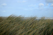 bord de mer