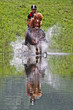 Photo: wasserspass wasserspass