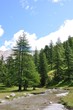 torrent de montagne 5