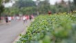 Video: People exercise every evening at publick park ,Bangkok People exercise every evening at publick park ,Bangkok