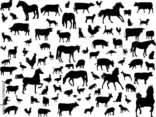 Vector: Big collection of farm animals - vector Big collection of farm animals - vector