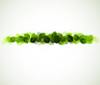 fresh green leaves design