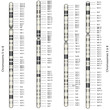 Web Art Design CHROMOSOMS 5 to 8 CHROMOSOMES 5 à 8 médecine 10