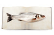 pesce libro pesce libro