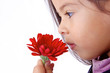 enfant apprend a sentir les odeurs et parfums de fleurs
