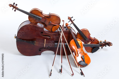 Photo: Strings Strings