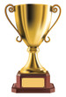 Golden trophy