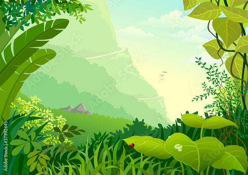 Vector: AMAZON JUNGLE TREES AND WILDERNESS AMAZON JUNGLE TREES AND WILDERNESS