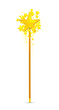 Magic wand